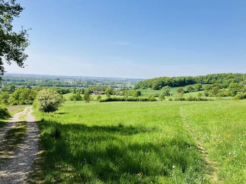 O 15 Donaustauf - Unterlichtenwald (Grünes Rechteck)