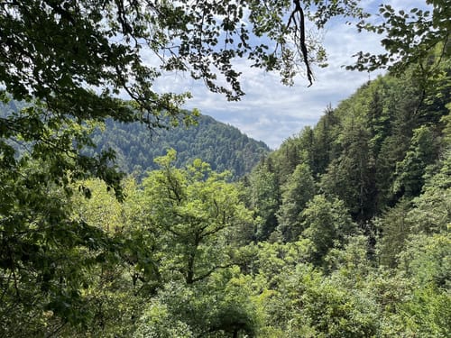 Über den Ausblick zur Felsenhütte