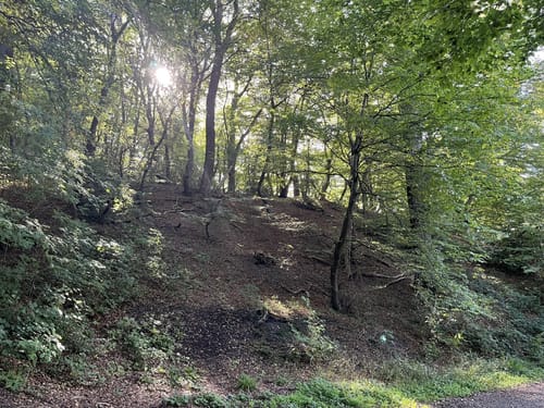 Rund um Burg Wilhelmstein (A2)