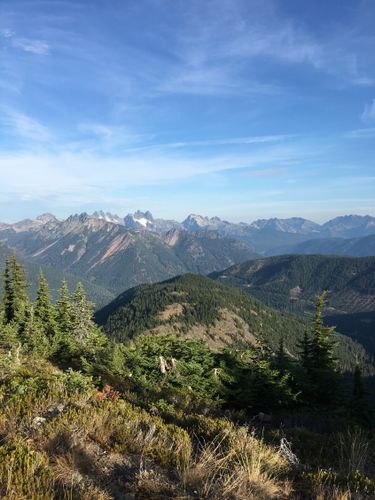 are dogs allowed at snoqualmie pass