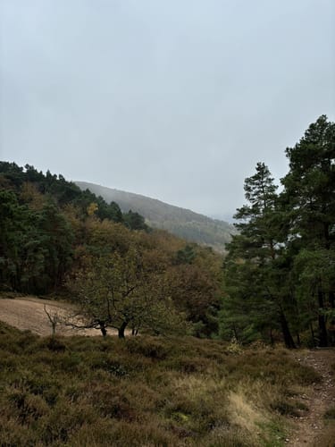 Kreuzau Panorama-Weg West 72