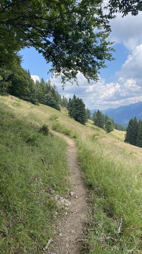 Imberg - Hochwies - Alpe Glutschwanden