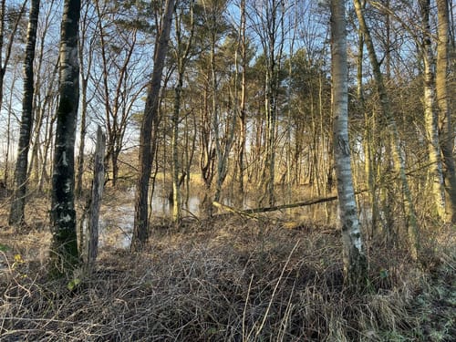 Rammelbeek Paarse Wandelroute