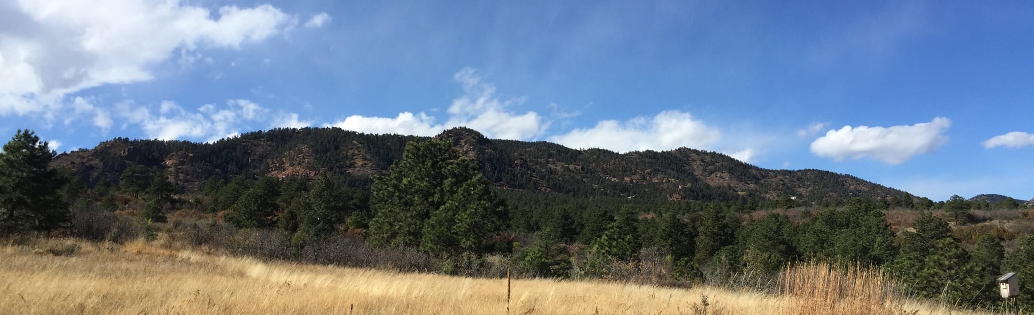 Wildflower Path and Upper Meadows Loop 166 Reviews, Map Colorado