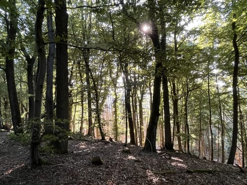 Teufelskanzel und Lindewerrablick ab Rimbach