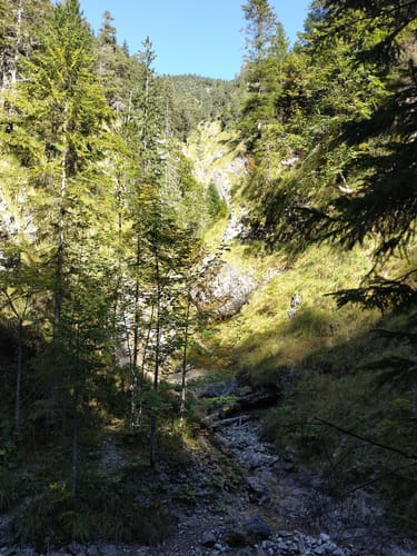Walchensee-Schlucht
