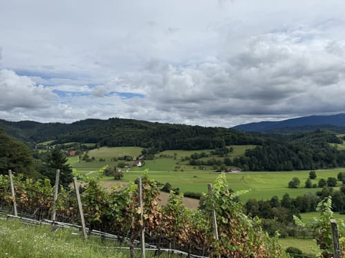 Rund um den Hornwald und die Hochburg