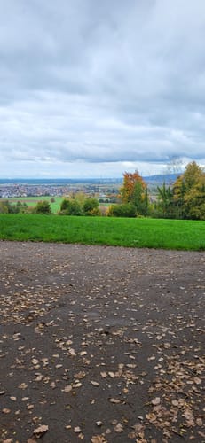 Bachgau 5: Grossostheim – Früchte des Löss