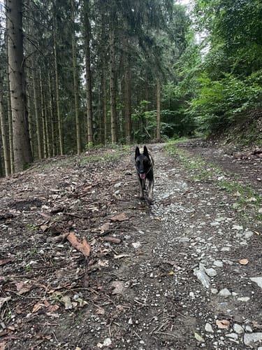 Linnepe Rundwanderweg L1