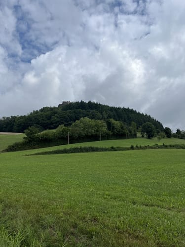 Burg Hohengeroldseck ab Schönberg