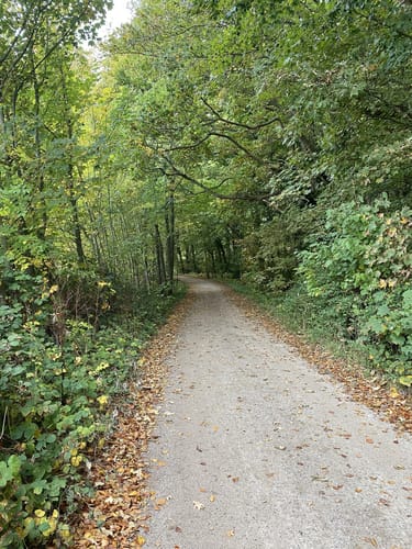 Rund um die Geltinger Birk