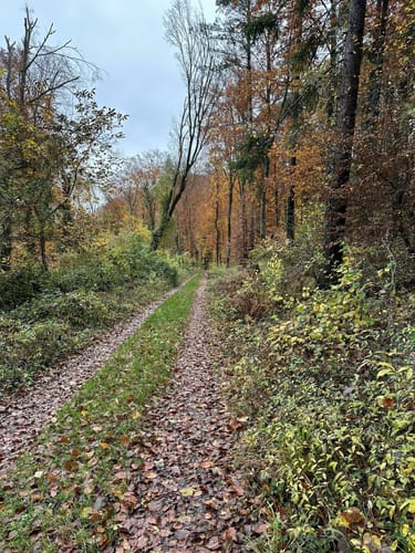 Durch die Ungeheuerklamm
