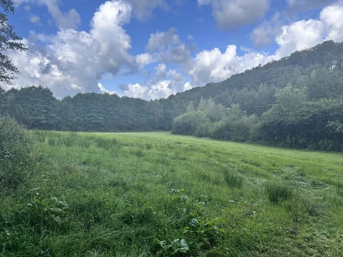 Weites Wasserland (D6)