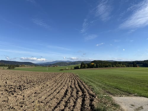 Rundwanderweg Zandt - Pfahlhof - Zandt (Za02)