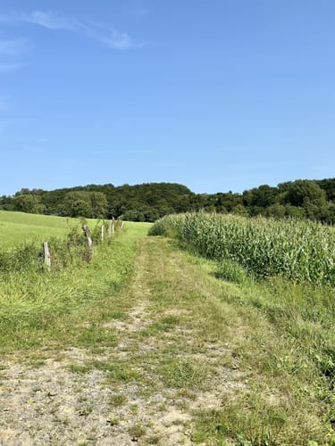 Bauernhofweg Streifzug #18