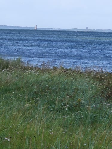 Rund um die Geltinger Birk