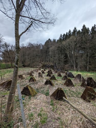 Struffeltroute