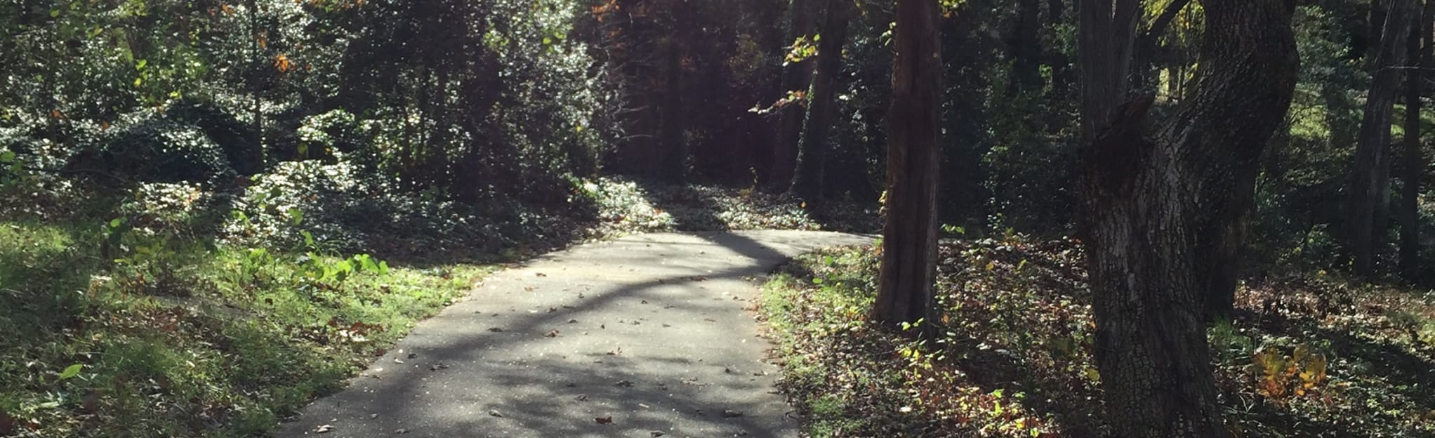 Swamp Rabbit Eagle and Troop 19 - EyJidWNrZXQiOiJhc3NldHMuYWxsdHJhaWxzLmNvbSIsImtleSI6InVwbG9hZHMvcGhvdG8vaW1hZ2UvMTEzNzExNTMvZDllYzk3Mjg4NDgyZWRmZDJhOGIyNjM3NjE0MmZjMWEuanBnIiwiZWRpdHMiOnsidG9Gb3JtYXQiOiJqcGVnIiwicmVzaXplIjp7IndpZHRoIjoyMDQ0LCJoZWlnaHQiOjYyNCwiZml0IjoiY292ZXIifSwicm90YXRlIjpudWxsLCJqcGVnIjp7InRyZWxsaXNRdWFudGlzYXRpb24iOnRydWUsIm92ZXJzaG9vdERlcmluZ2luZyI6dHJ1ZSwib3B0aW1pc2VTY2FucyI6dHJ1ZSwicXVhbnRpc2F0aW9uVGFibGUiOjN9fX0=