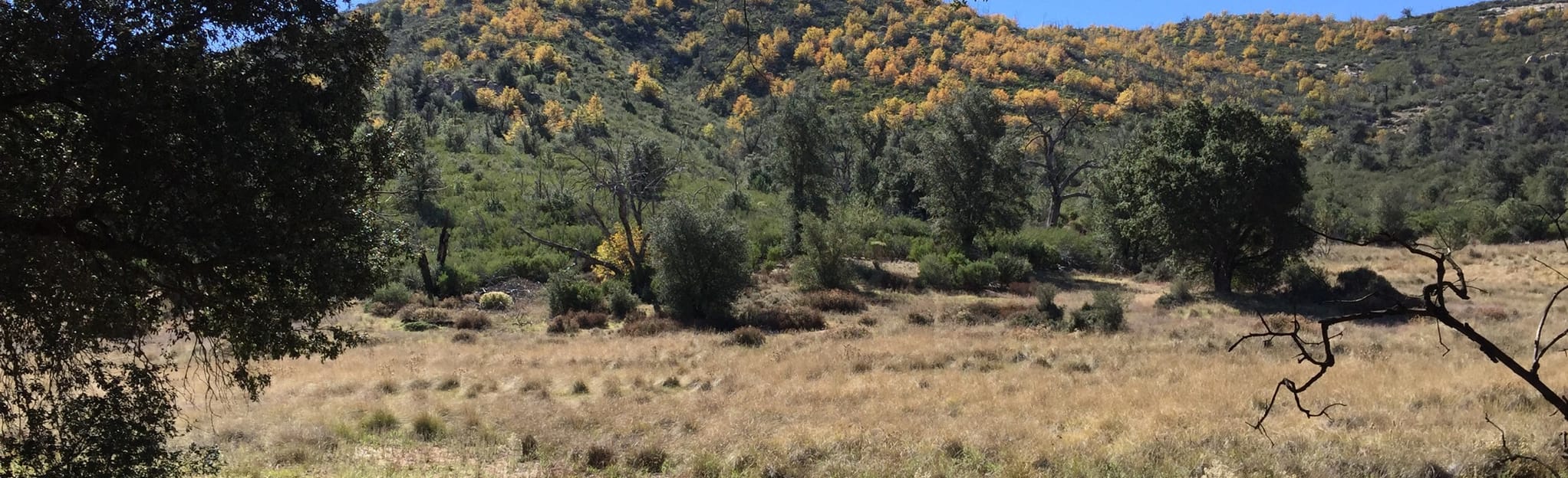 Green Valley Falls and Arroyo Secco Loop: 506 foto - California | AllTrails