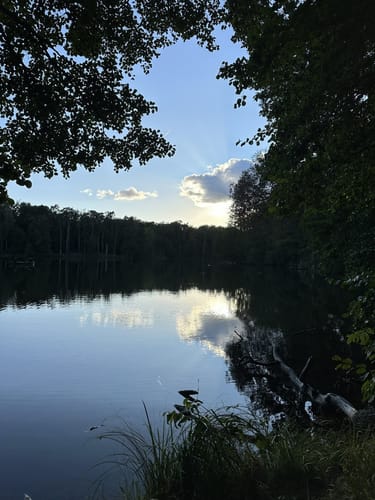 Poetensteig Buckow