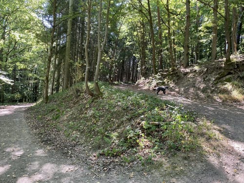 Adenauer Höhenrunde