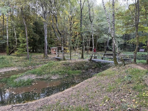 Burgstadt-Pfad (Traumschleife)