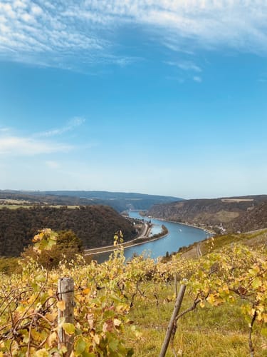 Rheinsteig Etappe 14: Kestert - St. Goarshausen