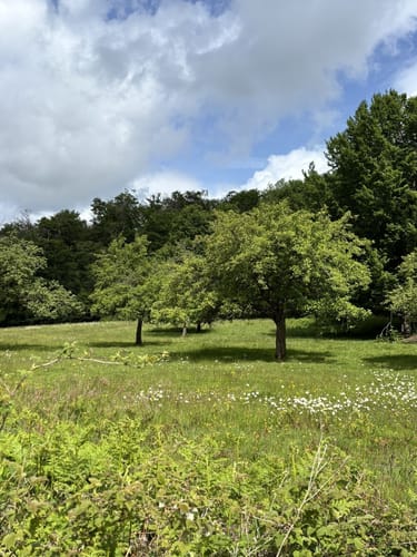 Felsenweg (Traumschleife)