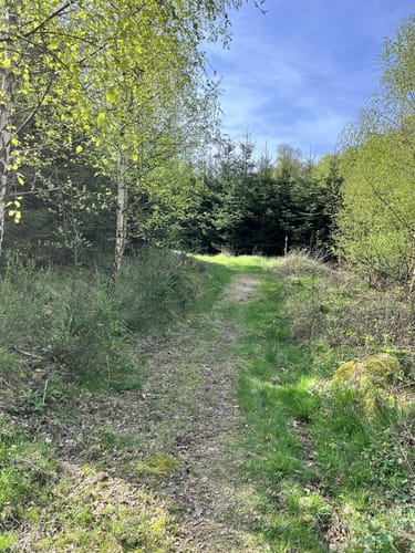 Viertälerweg (Extratour)