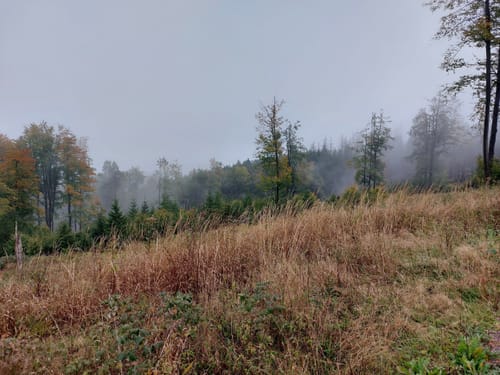 Masserberg, Kleiner Sauberg, Werraquell-Hütte
