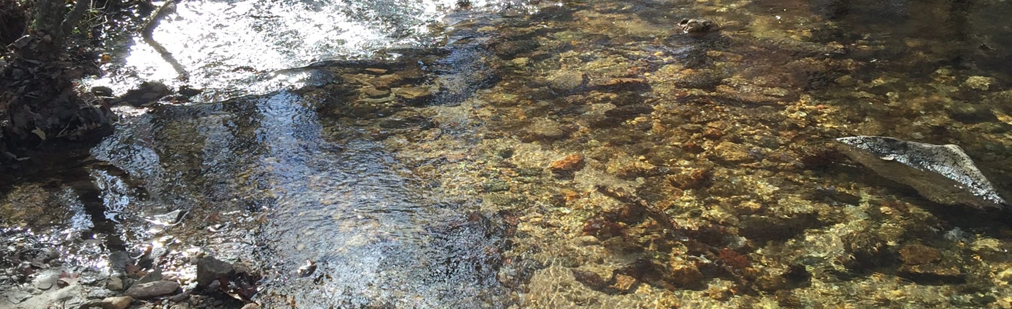 High Falls to Turnipseed Campground via Odum Trail, Alabama 39