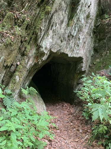 Hängebrücke Geierlay