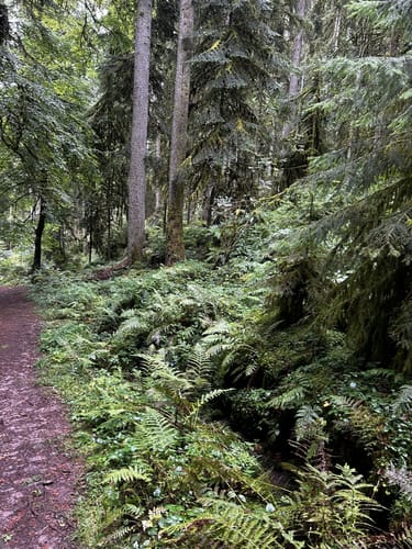 Der Teinacher (Genießerpfad)