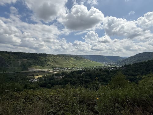 Trarbach - Graacher Schäferei - Koppelberg