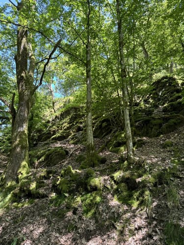 HeimatSpur Zwei-Täler-Weg