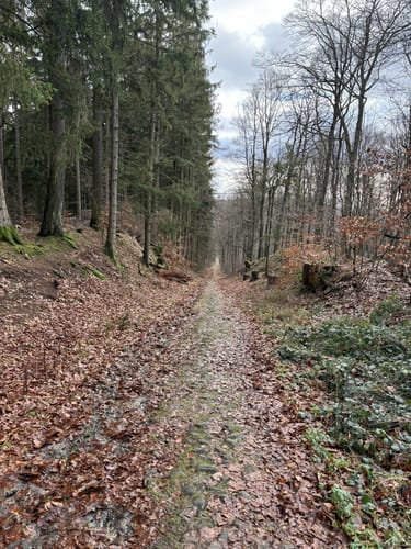 Durch den Deister