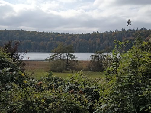 Rund um den Mindelsee