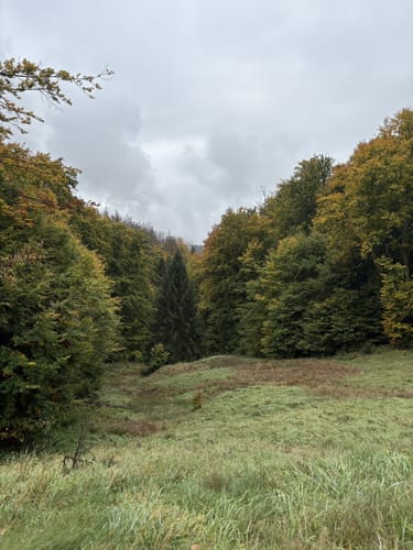 Langenbach Rundweg