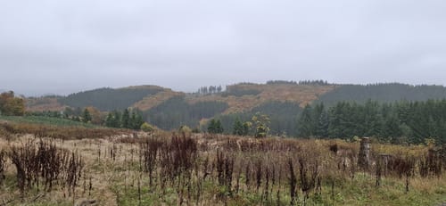 Rothaarsteig Spur Blick-ins-Land Kahle Pön