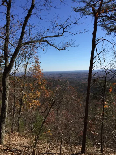 10 Best Trails and Hikes in Greenville | AllTrails