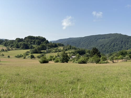 Wolfweg - Der Letzte Wolf im Odenwald