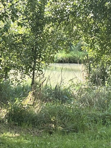 Niederhöchstadt - Skulpturenpark - Tal des Westerbachs