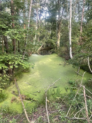 Kuhlake Rundweg