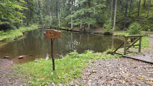 Wasserrad Paradies