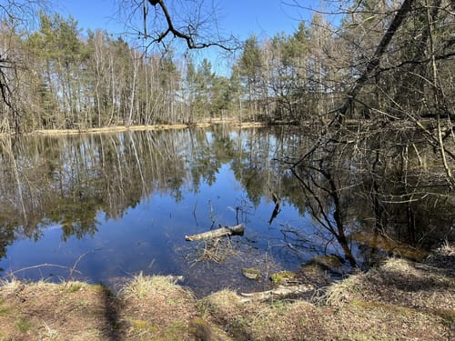 Rund um das Schwenninger Moos