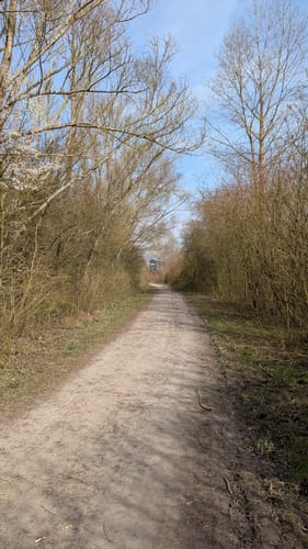 Leineaue zwischen Ruthe und Koldingen