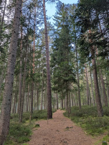 Erlebnispfad „Wie wohnt Wasser“ (Premiumspazierwanderweg)