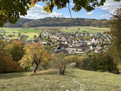 Donaufelsengarten (Premiumwanderweg)
