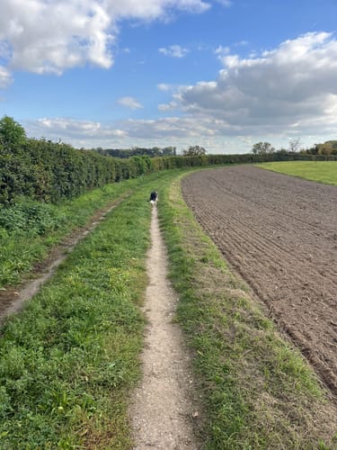 Oberwaldweg (Kurhardt)