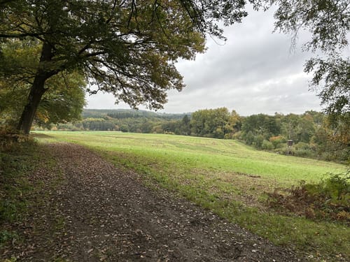 Strauch und Steckenborn Rundweg